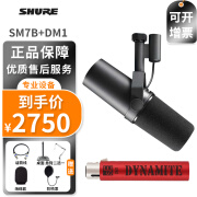 SHURE 舒尔SM7B录音棚动圈话筒K歌直播声卡套装电台广播配音麦克风 SM7B+SE DM1（需48v）