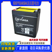 YUASAGSYUASA汤浅蓄电池PXL12050铅酸免维护密封阀控式仪器UPS用12V5AH