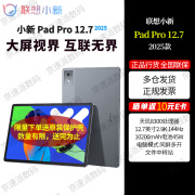 联想天骄小新Pad Pro 12.7 2025款可选 柔光护眼大屏 舒视版办公学习平板 padpro 12.7 二代 大象灰 2025款 8GB+256GB 官方标配