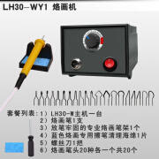 NMRVCK专业可调温烙画机烙画工具葫芦木板烫画机器烙画笔电烙笔 LH30-WF1-无表1支笔20种头