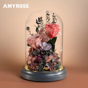 AMYROSE永生花玫瑰圣诞节情人节生日礼物结婚生日送女生女朋友闺蜜 爱的专属-杏粉色