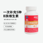 临期特价至24年10月份 艾兰得 多种B族维生素含片60片装 3岁以上儿童青少年成人补充维生素B 5瓶家人共享装（发6瓶）