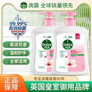 滴露（DETTOL）家用健康杀菌消毒抑菌99.9%洗手液儿童母婴宝宝专用滋润倍护 滴露抑菌滋润【二瓶装 500g*2】