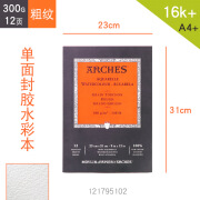 阿诗尼法国ARCHES阿诗水彩本单面胶水彩纸8k16四面封胶20张300g粗 300g-粗纹-单面封胶-16k+