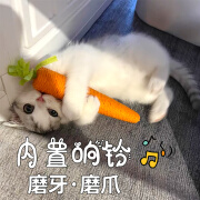 猫玩具可爱胡萝卜铃铛逗猫棒幼猫自嗨解闷神器耐咬磨牙磨爪猫用品 小罗卜(13cm)[单只装不发声