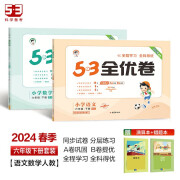 53全优卷六年级下册套装共4册语文+数学人教版2024春季 赠小学演算本+错题本