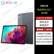 联想联想小新PadPro12.7英寸2024款 骁龙870 娱乐办公学习游戏平板 鸽子灰 8GB+128GB 莱茵全局护眼2.9k