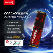 长城   GREAT WALL长城GT50 1TB M.2固态硬盘SSD台式机笔记本硬盘NVMe PCIe4.0 1TB PCIe4.0 GT-50 高速4.0