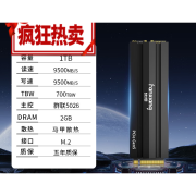 梵想（FANXIANG）S900Pro固态硬盘1t2tPCle5.0独立缓存高速m2固态硬盘nvme S900-1TB【高性能】