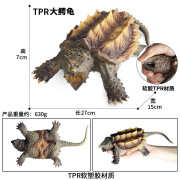 Oenux儿童仿真海洋动物模型玩具蛇河豚章鱼螃蟹鲨鱼恐龙捏捏乐软胶减压 BY-TPR大鳄鱼龟