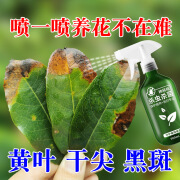 桂花黑斑病专用药桂花树肥料专用肥黄叶干尖枯叶病桂花营养杀菌剂 20g