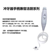 洁碧（Waterpik）新升级 强水压 适用美国洁碧冲牙器GT2GT3WP660WP670手柄水管 升级版手柄1支 0支喷头