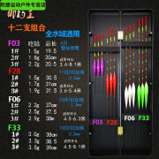 柏潮12支综合浮漂组合套餐鲫鱼鲤草鱼全水域纳米休闲野钓鱼漂加粗醒目 12支纳米综合浮漂全水域 送抗摔漂盒