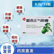 远健藿香正气胶囊0.3g*12粒解表化湿理气和中用于外感风寒内伤湿滞头痛昏重胸膈痞闷脘腹胀痛呕吐泄泻 1盒