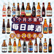 ERGOUPUB全球精酿啤酒组合装 白啤/IPA/修道院/黑啤/果啤 比利时/德国等 330mL 24瓶 全球精酿-王者版