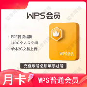 WPS会员月卡/季卡/年卡 WPS普通会员/WPS超级会员/WPS超级Pro会员 pdf转word 普通会员-1个月