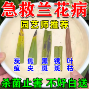 兰花专用杀菌药焦尖黑斑病专用药防黄叶干尖烂根兰花肥料专用肥 1瓶【兰花专用大容量】525ml