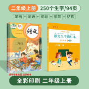 24年9月新版人教部编版语文生字描红本一二三年级上下册语文课本同步儿童控笔训练笔顺笔画偏旁硬笔写字 2年级上册