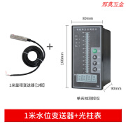 电子水位显示仪表消防水箱液位计水池水位控制器液位变送器4~20mA 1米水位变送器+光柱表