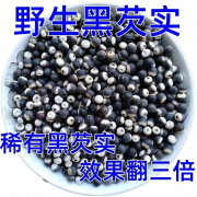 风鲜仓肇庆正宗黑芡实一斤装中大颗粒欠实干货500g食用黑色茨实新鲜 黑芡实 500g