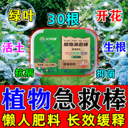 艾尚棵植物营养棒通用型缓释肥绿植营养液绿植肥花肥料盆栽植物家用花卉 【有效长达90天】 45g 1盒