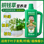 德沃多肥料铜钱草肥料专用肥水养植物营养液家用盆栽通用型养花肥料水培花肥 铜钱草专用营养液500ml*1瓶