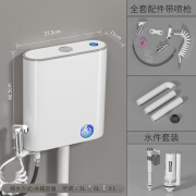 蓝狸蹲便器水箱卫生间厕所冲水箱家用节能大冲力免打孔马桶水箱 一键开盖款水箱+安装包+喷枪