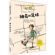 新华文轩神奇的足球 (意)姜弗兰克李奥利 正版书籍 新华书店旗舰店文轩官网 晨光出版社 晨光出版社