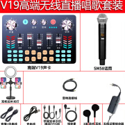 金运无线直播声卡套装设备全套主播户外唱歌录音专用麦克风 V19+单无线麦+配件