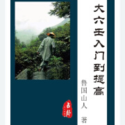 鲁国山人《大六壬入门到提高》贼克法 比用法九宗法总结