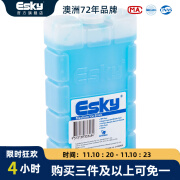 ESKY保温箱车载冰箱冷藏箱露营野餐食品大容量保鲜箱家用便携摆摊户外 350ml冰砖 1个【可循环使用】