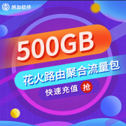 花火聚合路由器H9户外直播网络保障5G多卡聚合路由器搭配背包移动走播 花火500GB聚合流量(1年有效期)