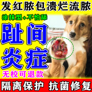 狗狗趾间炎专用猫狗烂趾间指缝发炎红肿溃烂流脓消炎脚趾炎专用药 单瓶装