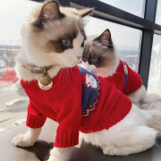 尤克达蒂圣诞节猫咪衣服新年过年红色冬季保暖可爱布偶小猫猫宠物毛衣 红色提花毛衣(尺码偏大) XS XS：胸围30cm【建议1-3斤】