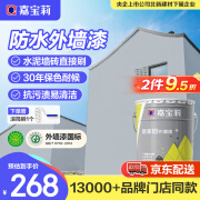 嘉宝莉（CARPOLY）外墙漆乳胶漆防水防晒涂料外墙翻新防水涂料新家园20kg岩石灰	