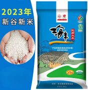 绿珈园2023年新谷新米海丰大米10KG光明米业江苏大米上海农场香粳米20斤