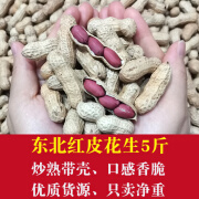 滇中拾味东北红皮花生 原味炒熟带壳 散装批发坚果炒货零食年货 红皮花生5斤【炒熟原味带壳】