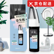 染立方染立方男士易染梳自然黑染发膏专用植物成分 平替性价比款坚野易染梳*1瓶