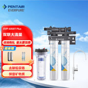 爱惠浦（Everpure）家用EVP-6000T-PLUS升级版双联大流量，去除重金属，改善口感， EVP-6000T