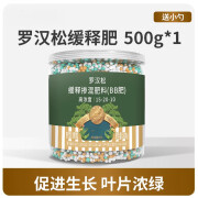 姒桀罗汉松专用肥缓释肥泰山松肥氮磷钾有机肥雀舌松树营养液盆景肥料 罗汉松专用缓释肥500g*1瓶【试用