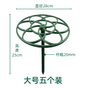 CPAI太阳花棒棒糖造型支架蟹爪兰嫁接专用单层多层支撑爬藤花架可拼接 单层大号直径28cm*5个 无规格