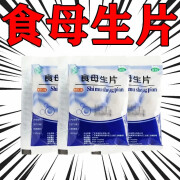 天桥牌食母生片80片 老牌子食欲不振不想吃饭消化不良防治维生素B族缺乏症健脾消食OTC国药准字大药房 1袋装【0.2g*80片】