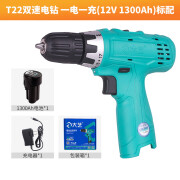 大艺充电手电钻16V20V双速锂电工业级起子机电动螺丝刀家用钻直销 T2212V双速一电一充 家装