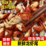 海鲜水产鲜活龙虾尾冷冻特级大号虾球大个龙虾尾鲜活非即食