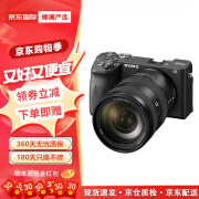 索尼（SONY）ILCE-6600/A6600 APS-C画幅 数码高清旅游VLOG旗舰微单相机美颜 A6600单机身 终身质保