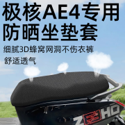 苍塑适配极核ae4专用一体i坐垫套电动车配件电瓶车座套防水防晒网洞ze 呆萌熊【极核ae4专用坐垫套】+隔