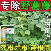 专杀葛藤除草剂除葛藤蔓专用药灭葛藤除阔叶杂草烂根剂葛藤灭草药 1套【三氯吡+渗透剂】葛藤专杀组合