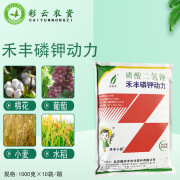 禾丰磷钾动力99%磷酸二氢钾叶面肥葡萄草莓花生冲施水溶肥1000克 1000克