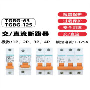 天正TGBG直流断路器1P2P直流空气开关32A63A电动电瓶车用DC 1A 1P