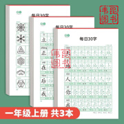 减压同步年级练字帖每日30字小学生1-6年级语文生字点阵描红练字發 每日30字（无赠品） 一年级上册